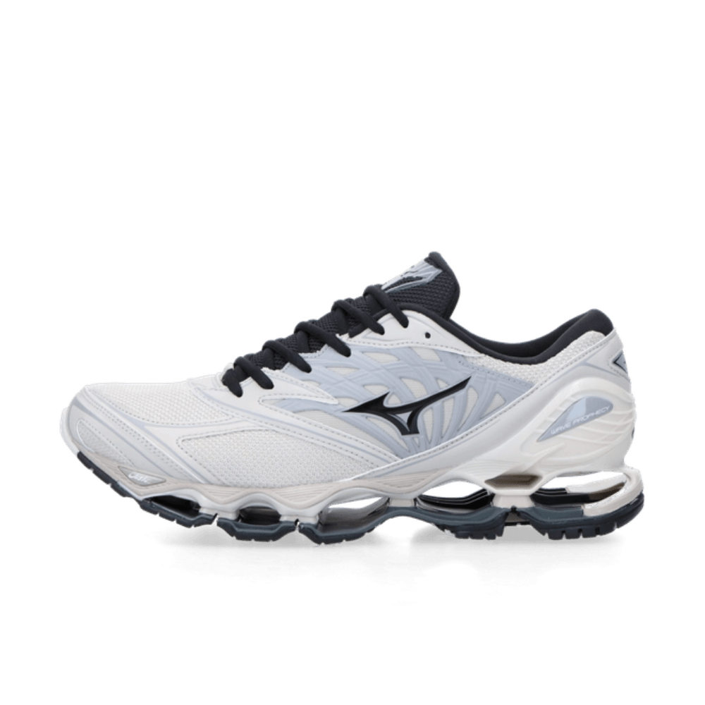 Mizuno Wave Prophecy LS silver cloud D1GA333703