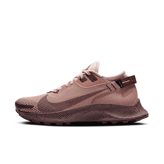 Nike Pegasus Trail 2 GORE CU2018-200
