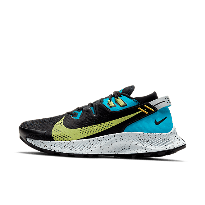 Nike Pegasus Trail 2 Trailrunning CK4309-003