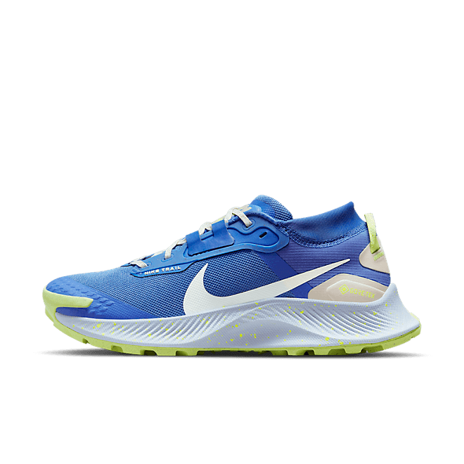 Nike Pegasus Trail 3 GORE DC8794-400