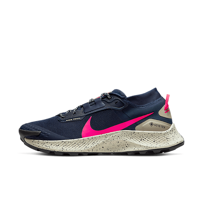 Nike Pegasus Trail 3 GORE DC8793-401