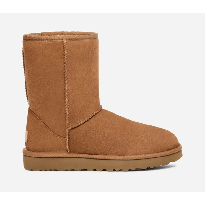 UGG Classic Short Boot Men Brown 5800-CHE