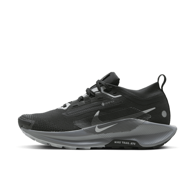 Nike Wmns Pegasus Trail 5 5 GORE-TEX 'Black Wolf Grey'  FQ0912 001