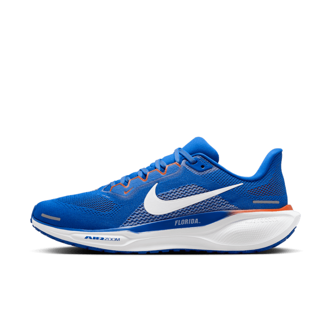 Florida Pegasus 41 Nike College Road FZ5113-400
