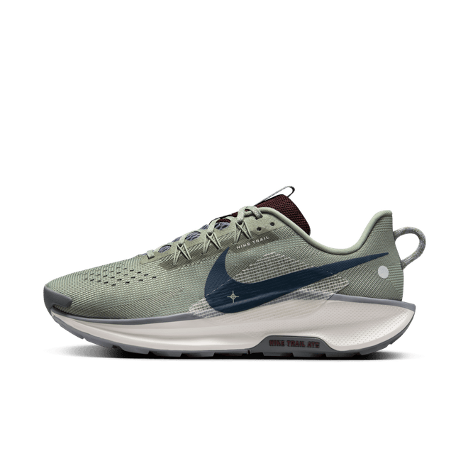 Nike Pegasus Trail 5 Trail DV3864-300