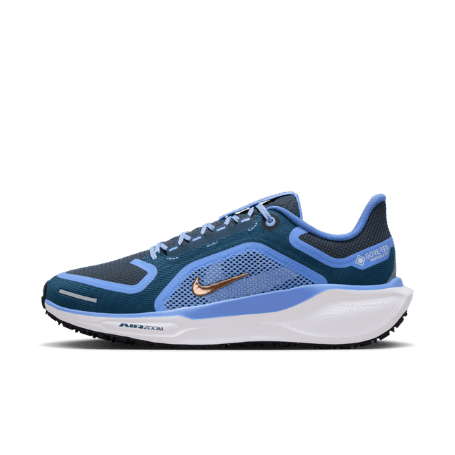 Nike Pegasus 41 GORE-TEX Waterproof Road FQ1357-400