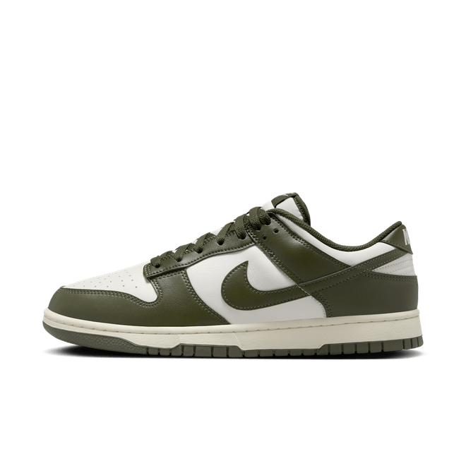 Nike Dunk Low Retro HF5441-102