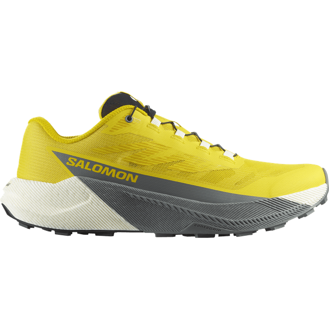 Salomon Pulsar Incaberry  L47973200