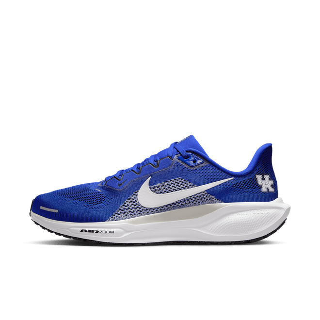 Kentucky Pegasus 41 Nike College Road IB3266-400