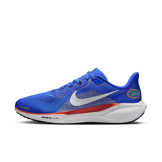Florida Pegasus 41 Nike College Road IB3251-400