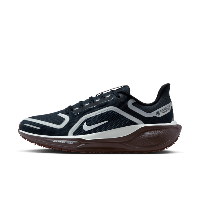 Nike Pegasus 41 GORE-TEX Waterproof Road FQ1357-401