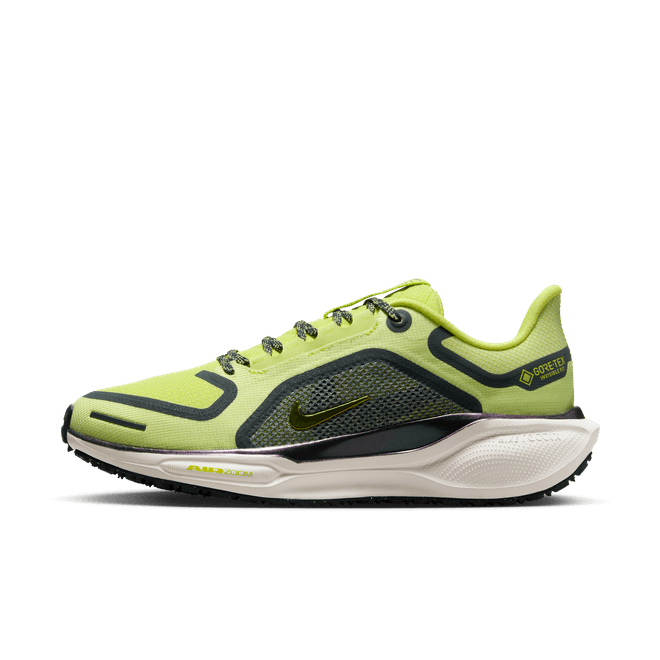 Nike Pegasus 41 GORE-TEX Waterproof Road FQ1357-300