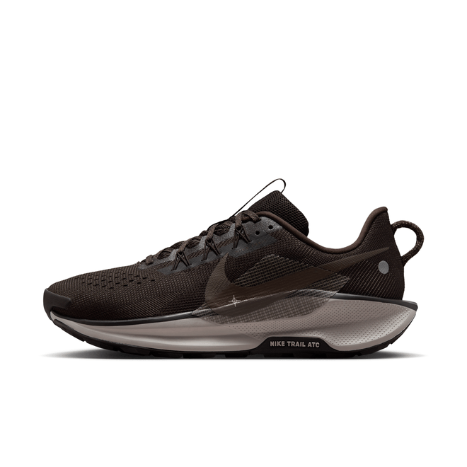 Nike Pegasus Trail 5 Trail DV3864-202