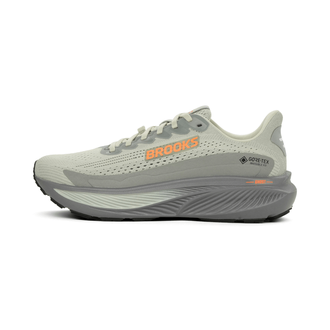 Brooks Ghost 17 GTX  110462-1D-022