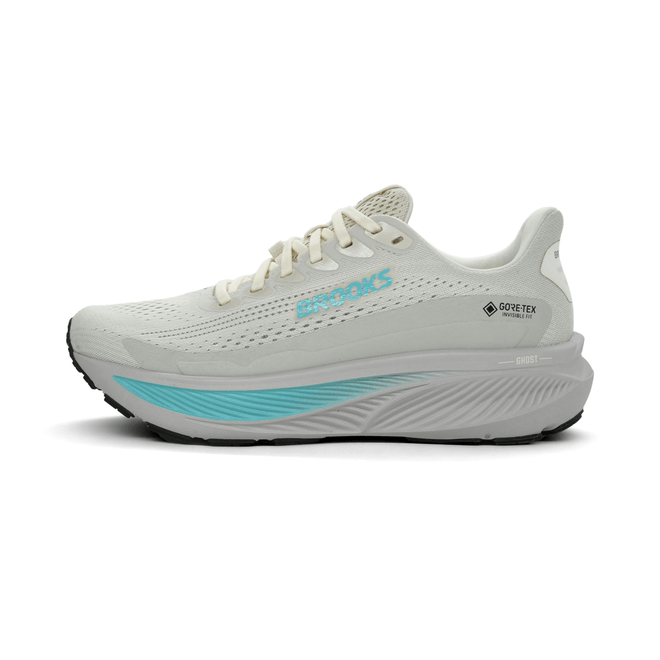 Brooks Ghost 17 GTX  120451-1B-138