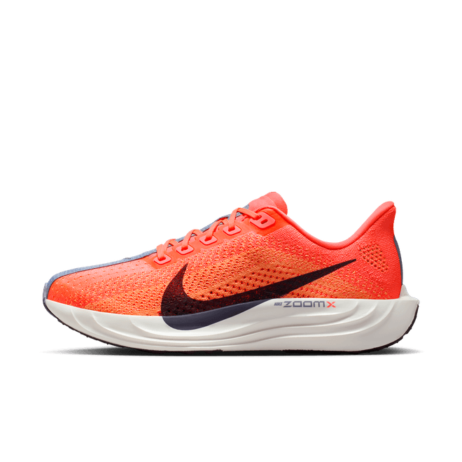 Nike Pegasus Plus Road FQ7261-801