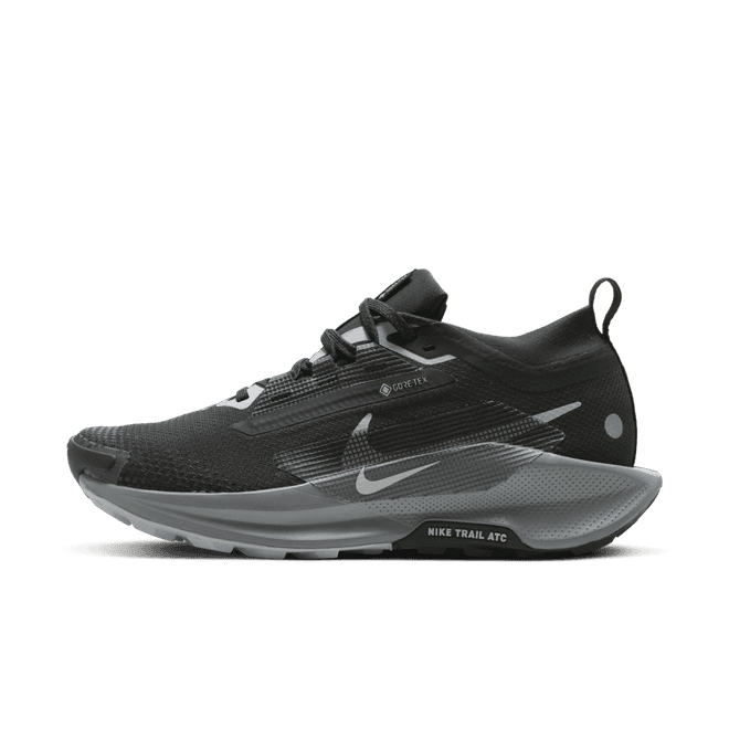 Nike Wmns Pegasus Trail 5 5 GORE-TEX 'Black Wolf Grey' 