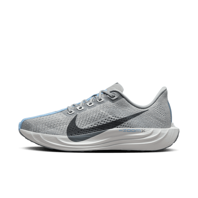 Nike Pegasus Plus Road