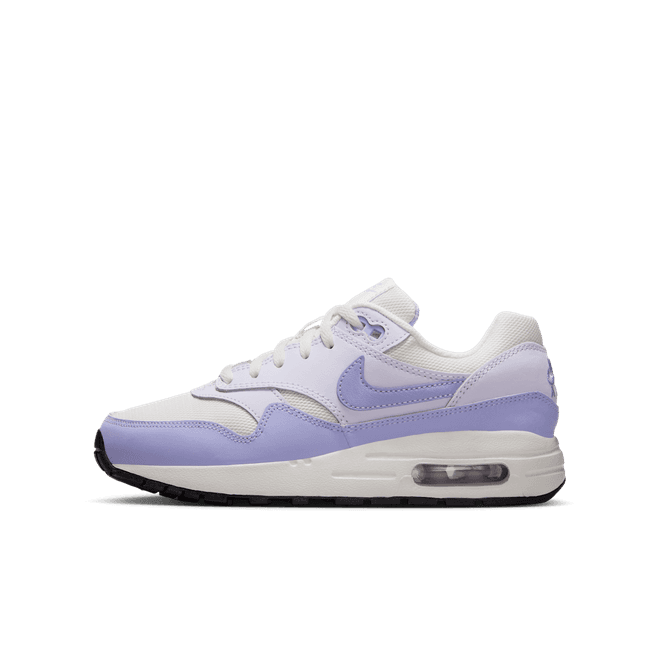 Nike Air Max 1 GS 'Hydrangeas'