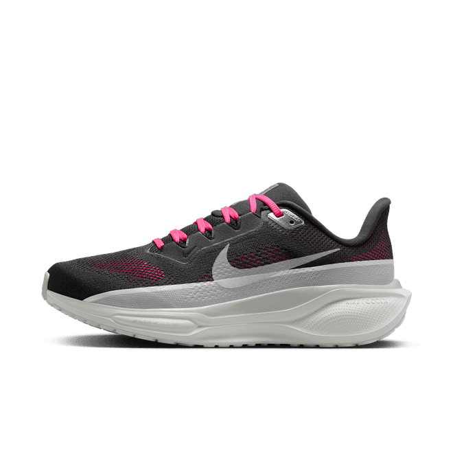 Nike Pegasus 41 SE Road
