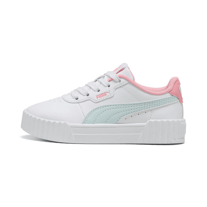 Puma Carina 3.0 PS