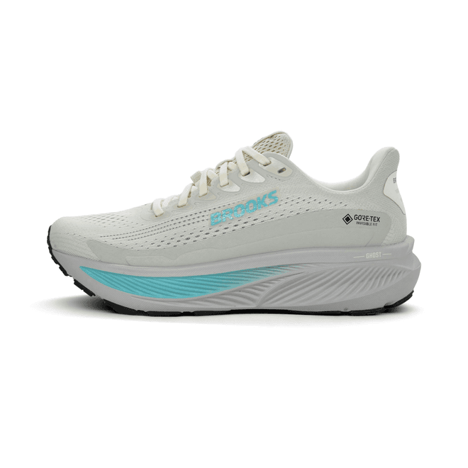 Brooks Ghost 17 GTX 